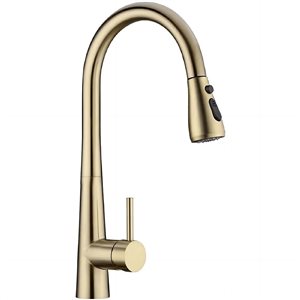 Flynama 1-Handle Brushed Gold Kitchen Faucet with Pull Down Sprayer