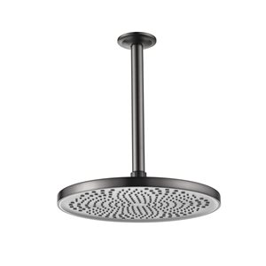 Flynama Gunmetal 1-Spray Pattern 10-in Ceiling Mount Fixed Shower Head