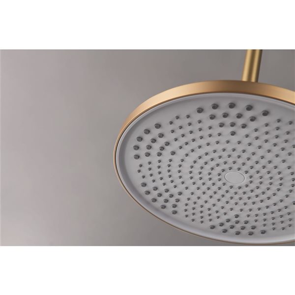 Flynama Gold 1-Spray Patterns 10-in Ceiling Mount Fixed Shower Head