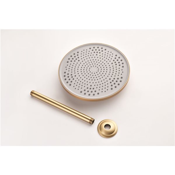 Flynama Gold 1-Spray Patterns 10-in Ceiling Mount Fixed Shower Head