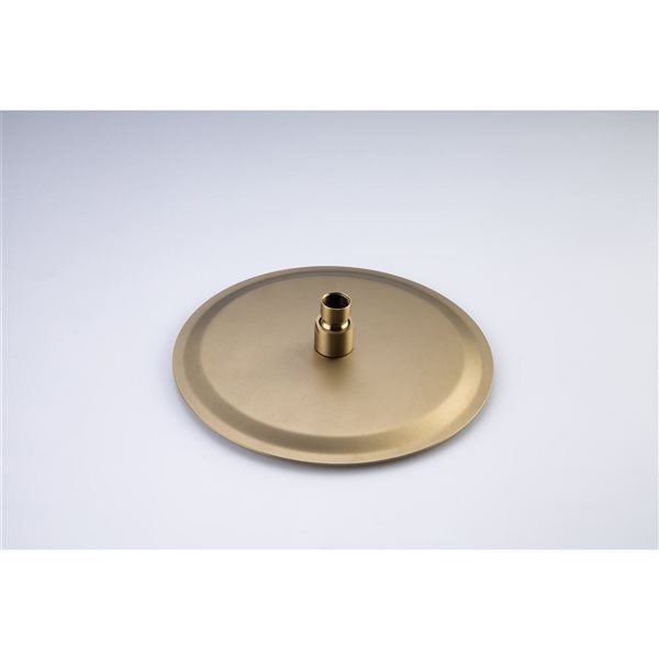 Flynama Brushed Gold 1-handle Single Function Round Shower Faucet