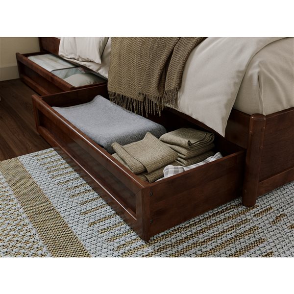 AFI Lylah Queen Platform Bed with Panel Footboard and Storage Drawers in Walnut