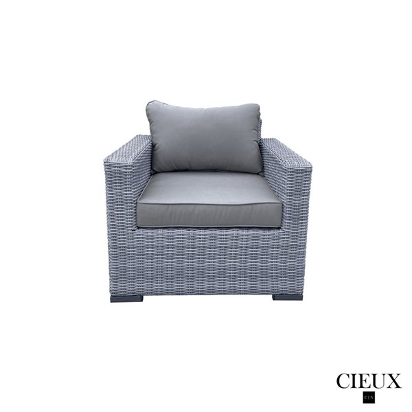 CIEUX Cannes Outdoor Patio Grey Wicker Sofa Conversation Set with Sunbrella Cushions