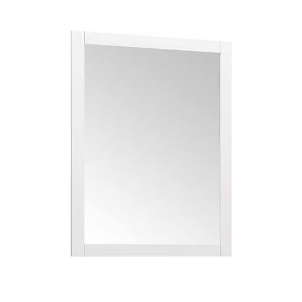 OVE Decors Tahoe 28-in W x 36-in H Framed Wall Mirror - White