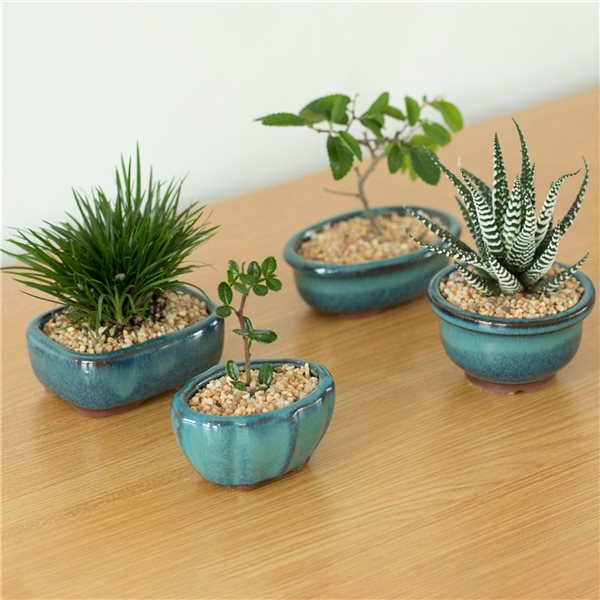 Gardenised Decorative Mini Glazed Ceramic Bonsai Succulent Pots Flower Planter with Drainage Holes, 4 Pack