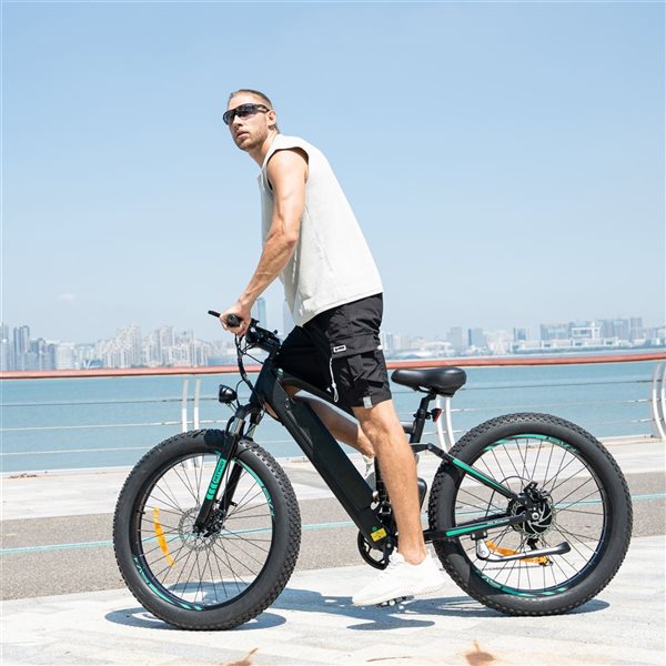 HITWAY 750 W 48 V 15 Ah Electric Bike with 26*4.0-in Fat Tire and IP54 Waterproof