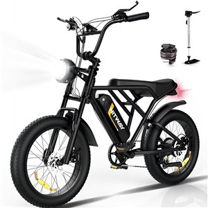 HITWAY 750 W 48 V 18 Ah Shimano 7-Speed Transmission Electric Bike with 20*4.0-in Fat Tire and IP54 Waterproof