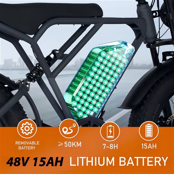 HITWAY 750 W 48 V 18 Ah Shimano 7-Speed Transmission Electric Bike with 20*4.0-in Fat Tire and IP54 Waterproof