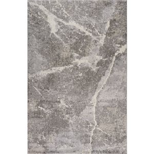 Rug Branch Jules 6 x 9-ft Grey/Beige Modern Abstract Marble Design Indoor Area Rug