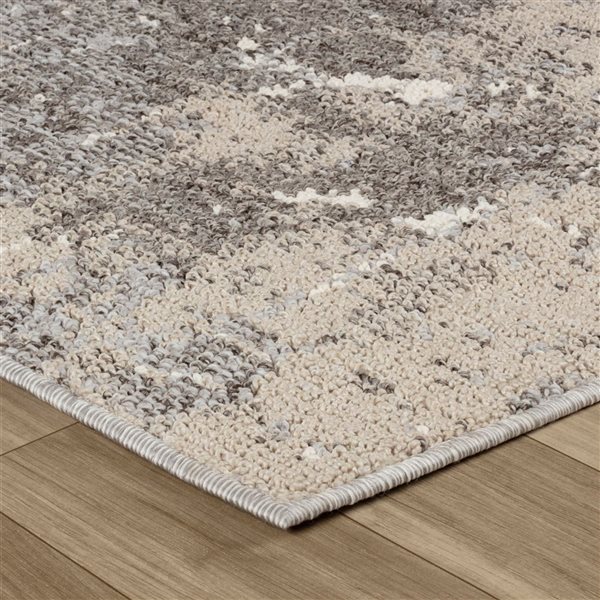 Tapis décoratif d'intérieur Jules de Rug Branch 4 x 6 pi style moderne abstrait motif marbré beige/gris