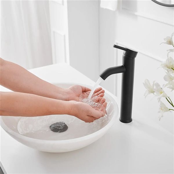 BWE Single Hole Single Handle Bathroom Vessel Sink Faucet With Drain Assembly in Matte Black