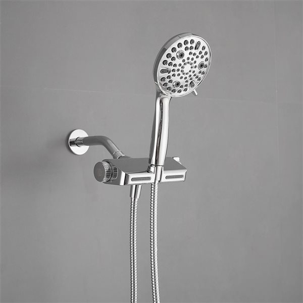 BWE 10-spray Dual Shower Head and Handheld Shower Head with Stainless Steel Hose in Polished Chrome