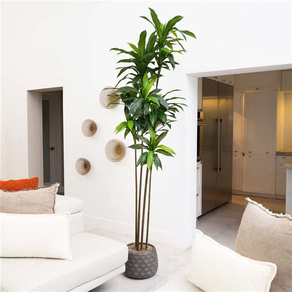 Nearly Natural 8-ft H Green Artificial Dracaena Tree w/ Realistic Touch Leaves