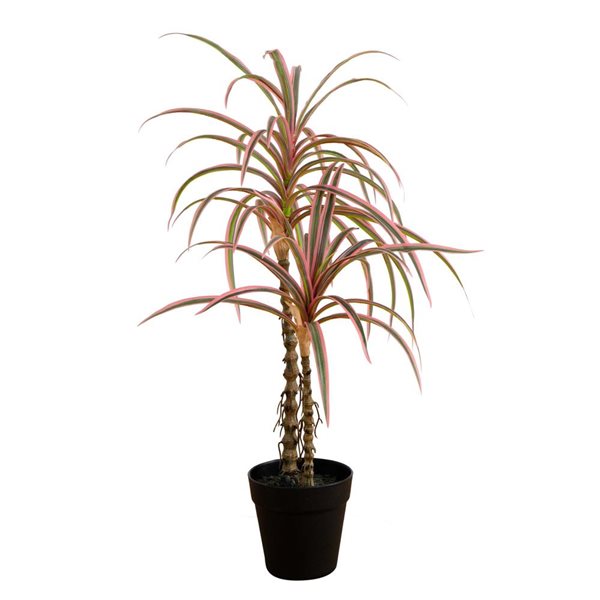 Nearly Natural 2-ft Green Artificial Marginata Dracaena Plant in Black Pot