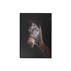 iH casadécor Framed Canvas Wall Art Horse