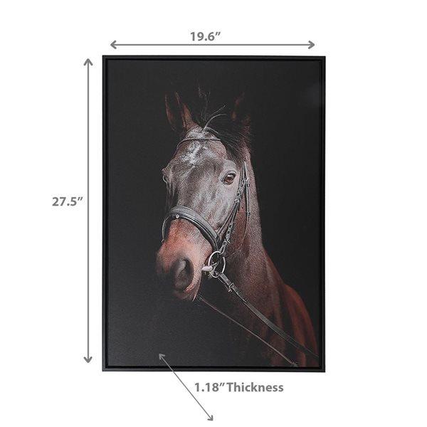 iH casadécor Framed Canvas Wall Art Horse