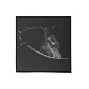 iH casadécor Framed Canvas Wall Art Horse Head