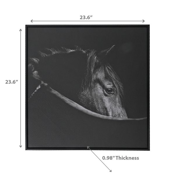 iH casadécor Framed Canvas Wall Art Horse Head