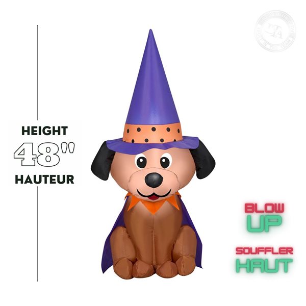 Gonflable d’Halloween avec lumières DEL de Gemmy 48 po h. chien avec chapeau de sorcière