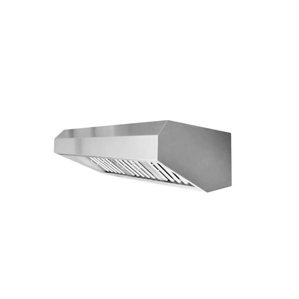 VICTORY 42-in 1200 CFM Outdoor BBQ Range Hood - Stainless Steel