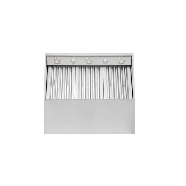 VICTORY 42-in 1200 CFM Outdoor BBQ Range Hood - Stainless Steel