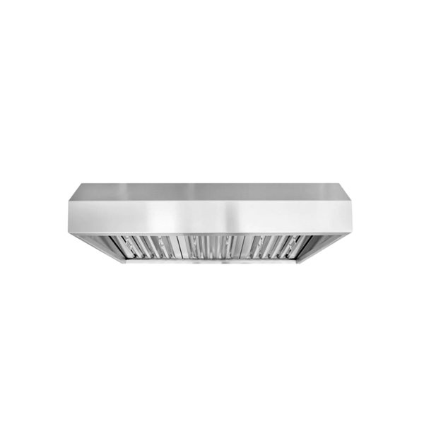 VICTORY 42-in 1200 CFM Outdoor BBQ Range Hood - Stainless Steel