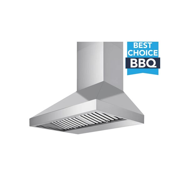 VICTORY 48-in 1200 CFM Outdoor BBQ Range Hood - Stainless Steel