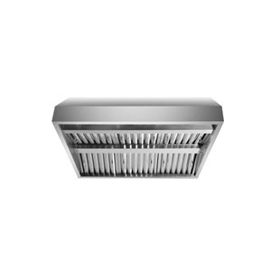 VICTORY 48-in 2300 CFM Outdoor BBQ Range Hood - Stainless Steel