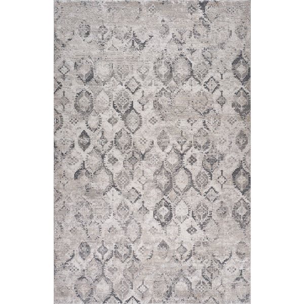 Tapis décoratif d'intérieur Atlas de Rug Branch 4 x 6 pi gris beige moderne à motif géométrique