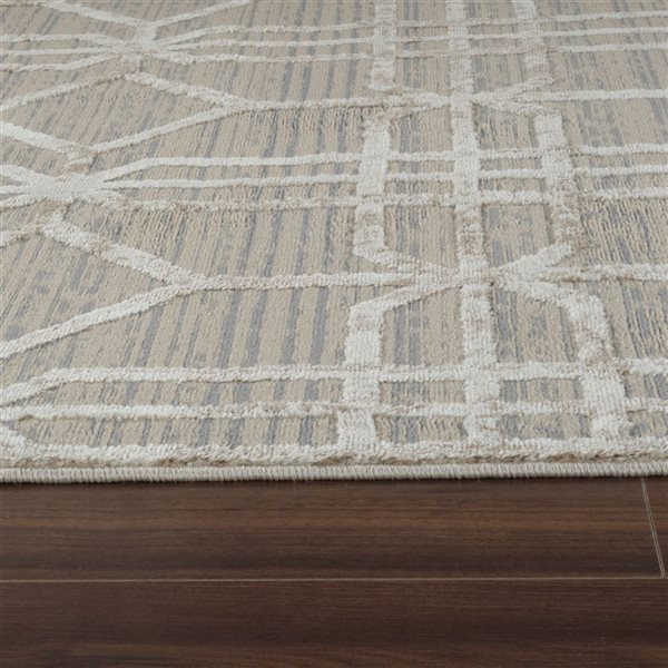 Tapis décoratif d'intérieur Nomad de Rug Branch 6 x 9 pi brun beige moderne à motif abstrait