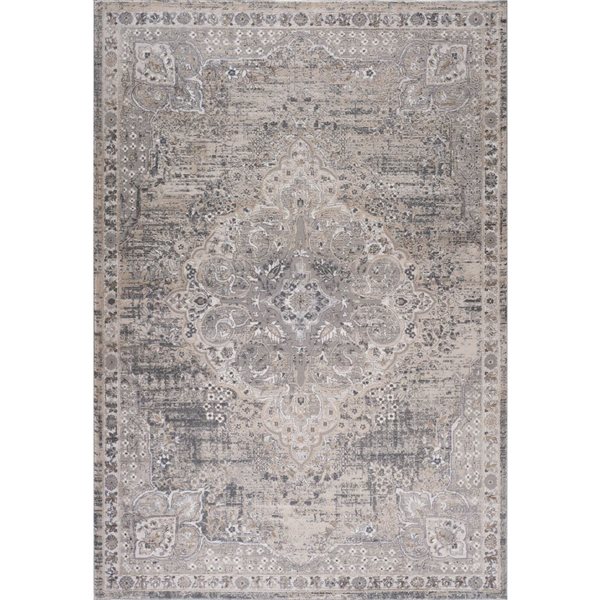 Tapis décoratif d'intérieur Atlas de Rug Branch 6 x 9 pi beige gris classique à motif géode