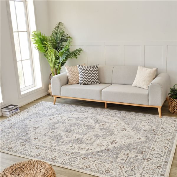 Rug Branch Nomad 4 x 6-ft Grey Beige Modern Persian-Style Indoor Area Rug