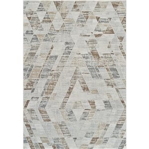 Tapis décoratif d'intérieur Nomad de Rug Branch 6 x 9 pi brun beige contemporain à motif abstrait