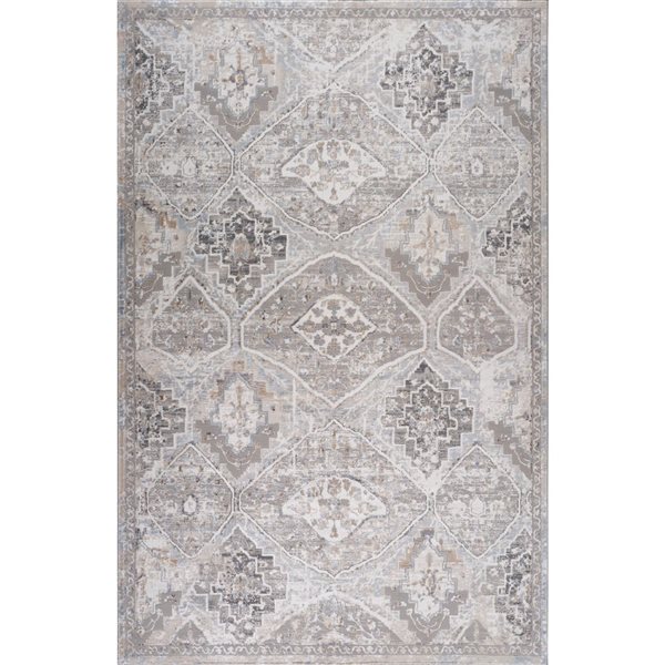 Tapis décoratif d'intérieur Atlas de Rug Branch 4 x 6 pi beige gris délavé de style moderne