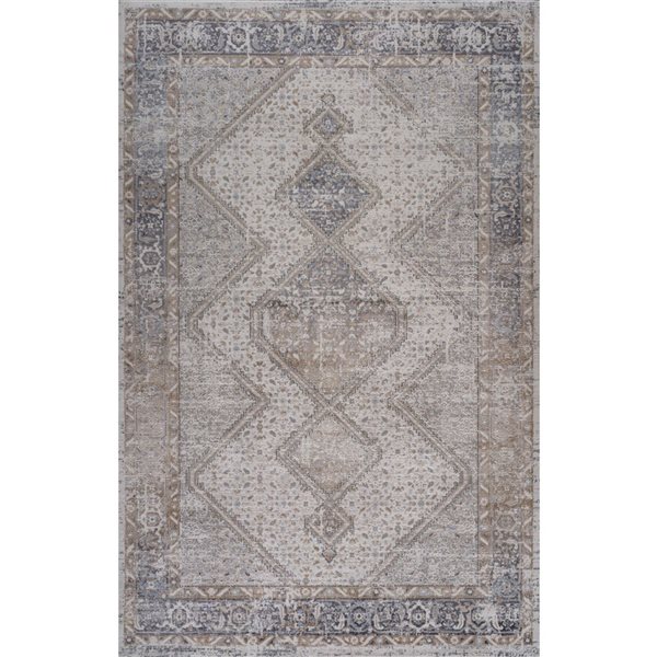 Tapis décoratif d'intérieur Atlas de Rug Branch 6 x 9 pi gris beige moderne de style persan