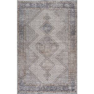 Tapis décoratif d'intérieur Atlas de Rug Branch 5 x 7 pi gris beige de style persan bohème