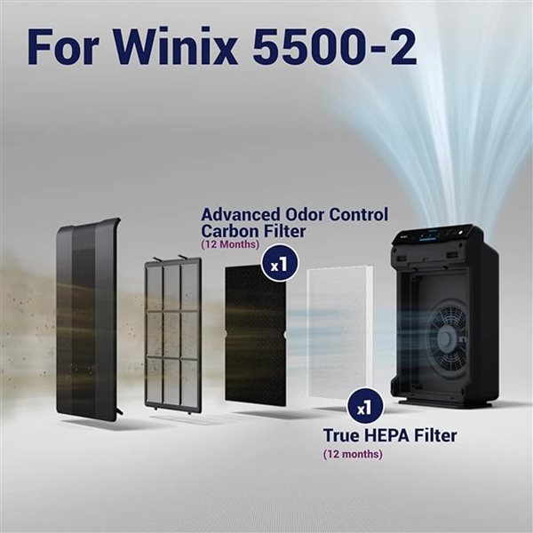 Winix 116130 - Winix Replacement Filter H - For Winix 5500-2 & AM80 Air