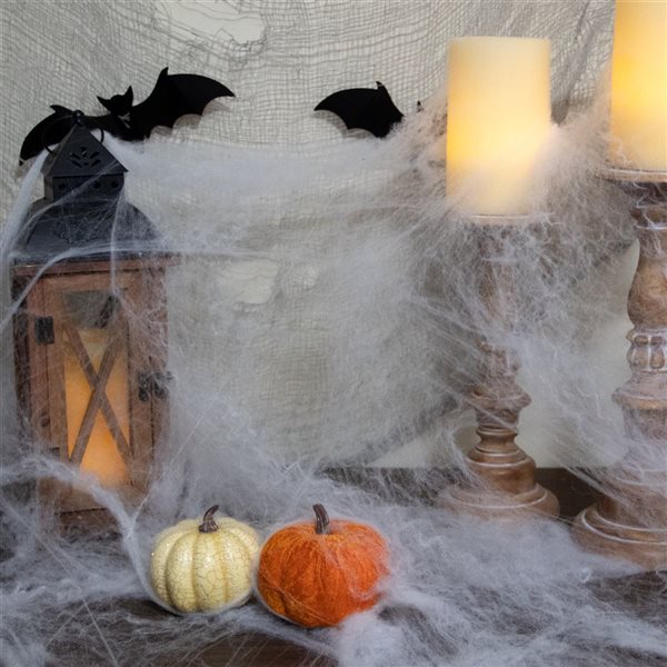 Northlight 10-in Stretchable White Spider Web Halloween Decoration