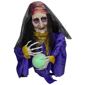 Northlight 20-in Lighted and Animated Fortune Teller Halloween Decoration