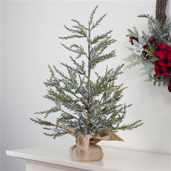 Northlight Real Touch 24-in Potted Medium Iced Cedar Artificial Christmas Tree - Unlit