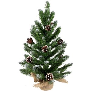 Northlight 24-in Frosted Norway Pine with Pine Cones Medium Artificial Christmas Tree  Unlit