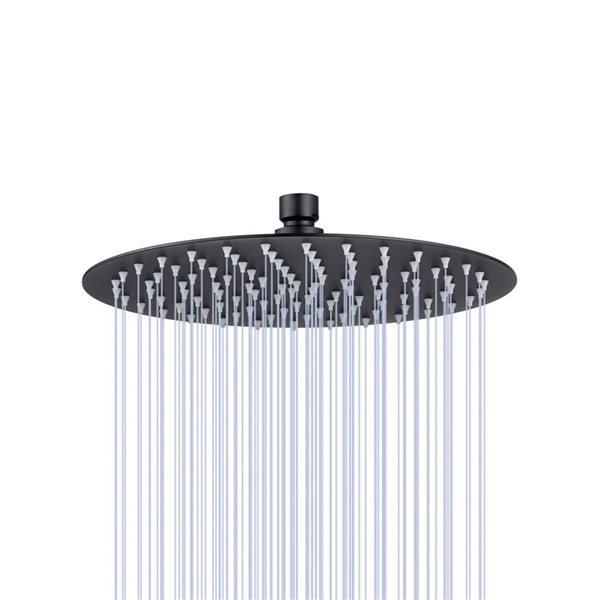 RAINLEX 10-in Round Ultra-Thin Rain Fixed Shower Head in Matte Black