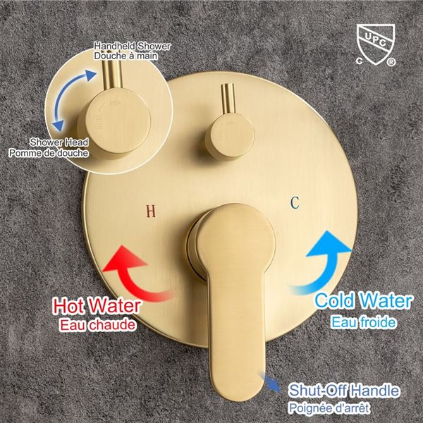 RAINLEX 10-in 1-Handle 2-Spray Round Showerhead Rainfall Shower Faucet with Valve in Brushed Gold