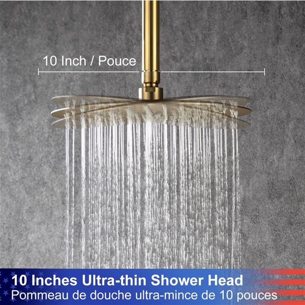 RAINLEX 10-in 1-Handle 2-Spray Round Showerhead Rainfall Shower Faucet with Valve in Brushed Gold