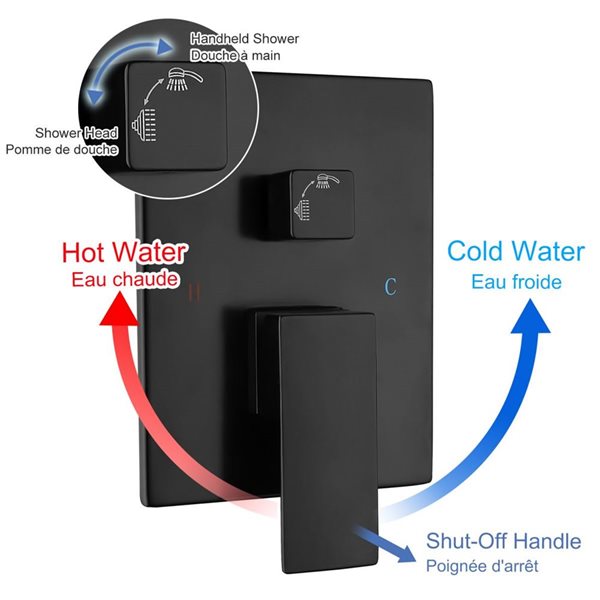 RAINLEX 12-in Single-Handle 3-Sprays Hand Shower Ceiling Mount Shower Faucet in Matte Black