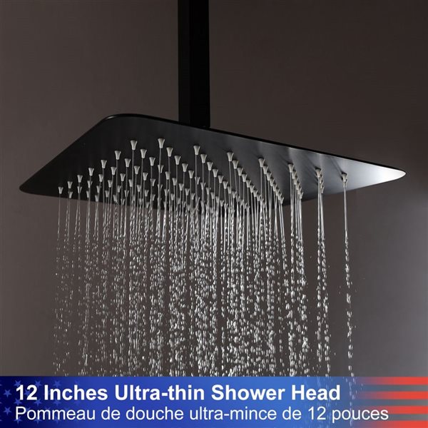 RAINLEX 12-in Single-Handle 3-Sprays Hand Shower Ceiling Mount Shower Faucet in Matte Black