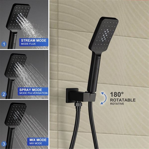 RAINLEX 12-in Single-Handle 3-Sprays Hand Shower Ceiling Mount Shower Faucet in Matte Black