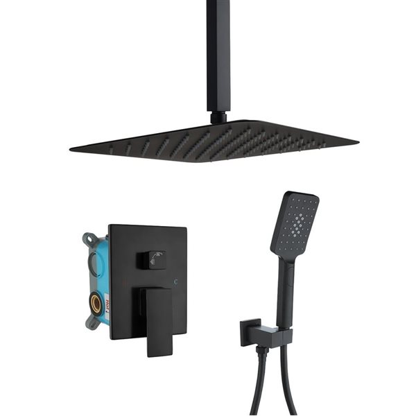 RAINLEX 12-in Single-Handle 3-Sprays Hand Shower Ceiling Mount Shower Faucet in Matte Black