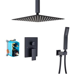 RAINLEX 10-in Single-Handle 2-Sprays Square Showerhead Rainfall Shower Faucet with Valve in Matte Black