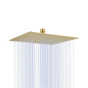 RAINLEX 10-in Square Ultra-Thin Rain Fixed Shower Head in Brushed Gold